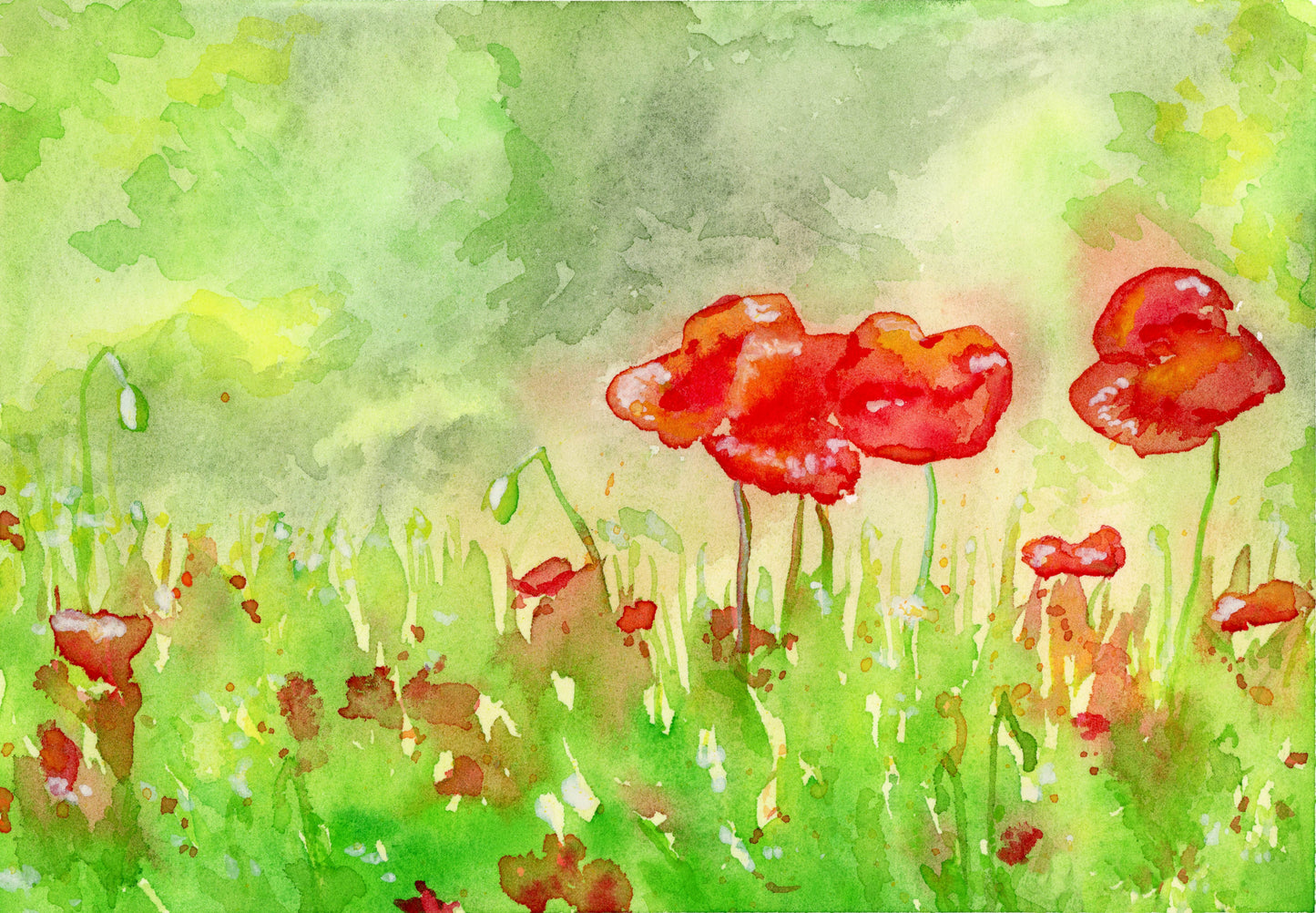 POPPIES